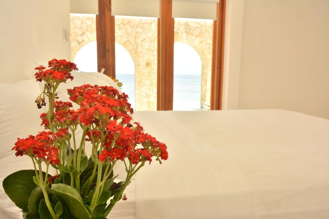 Pattoo Castle Villa Negril 0*,